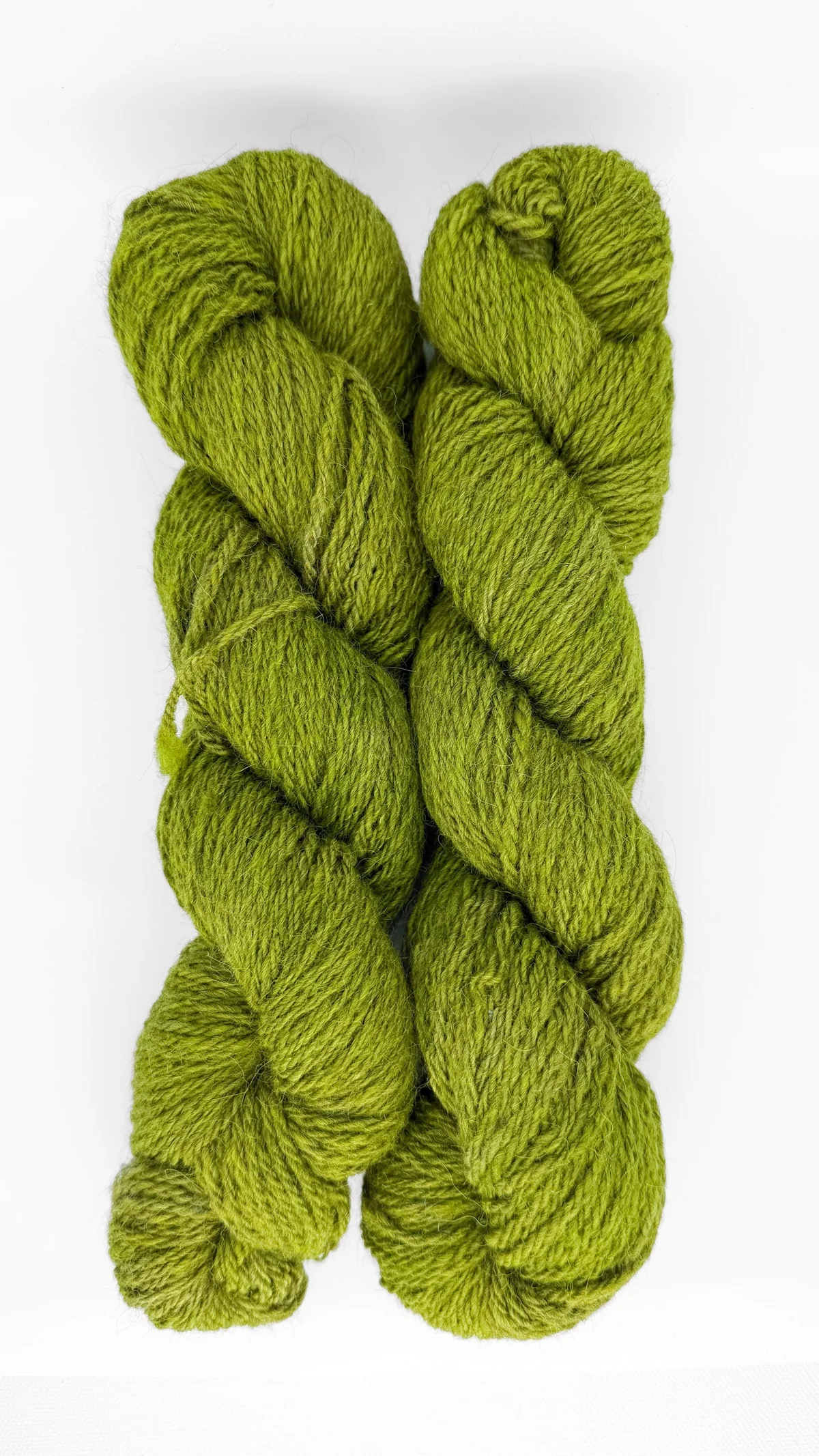 Hazel - Image 2
