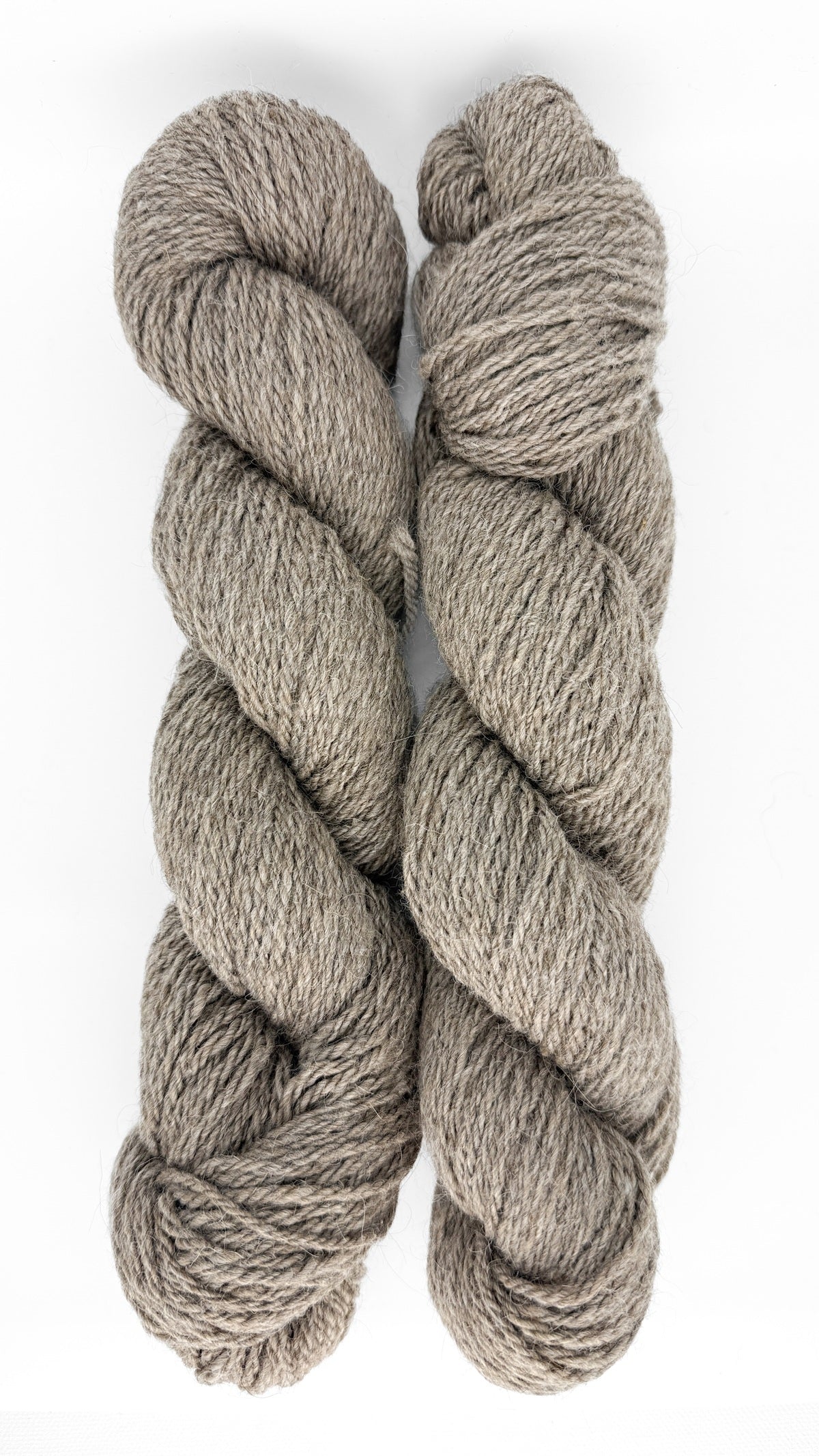 Hazel - Image 9