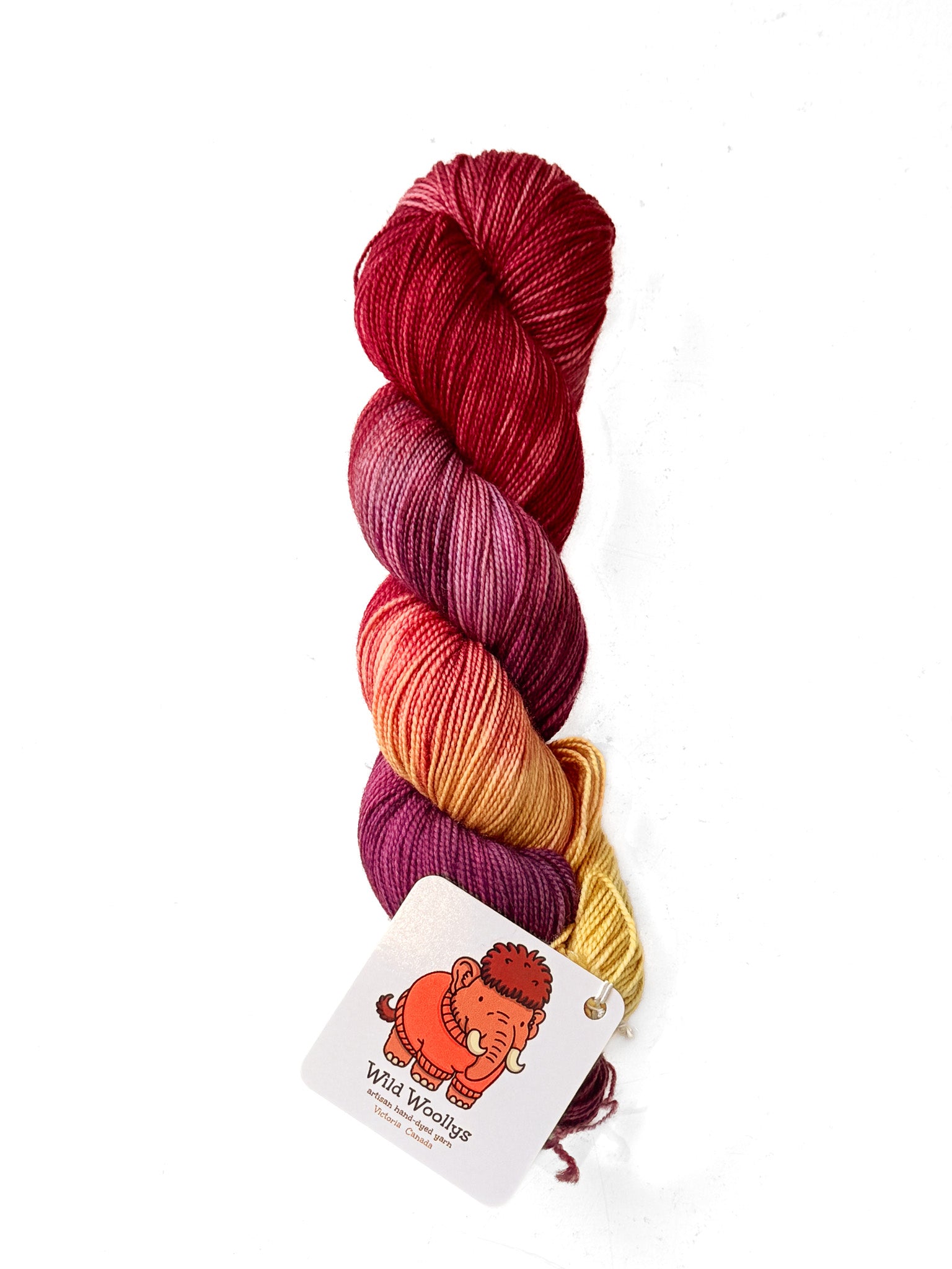 Wild Woollys Sock Yarn